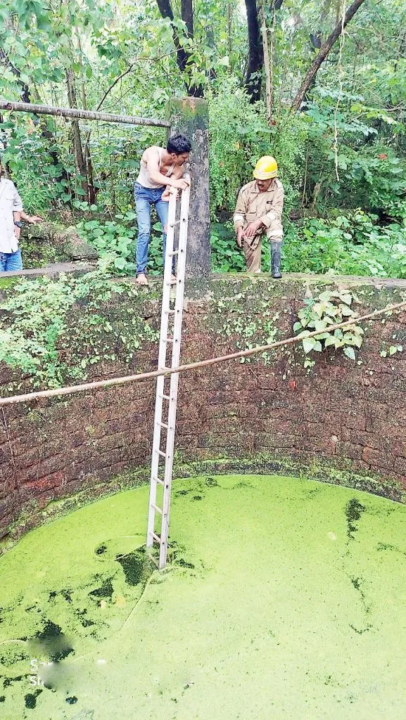 सांज्यांवच्यावेळी नावेलीत युवक बुडाला