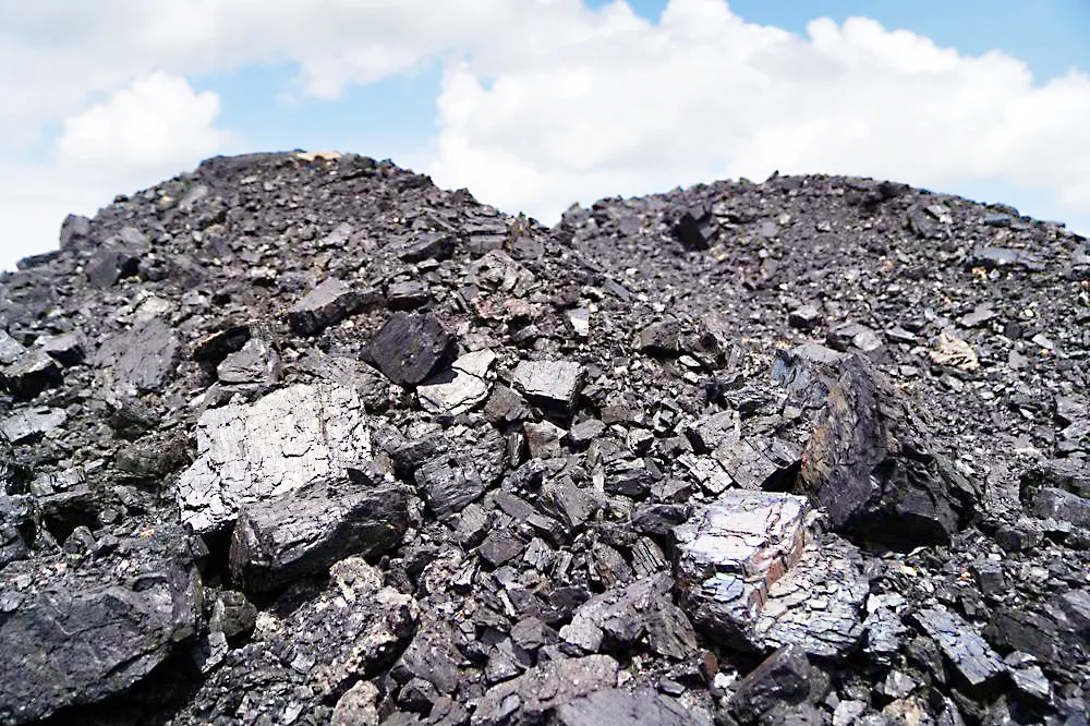 कोळसा मंत्रालयाकडे 38 जणांची बोली