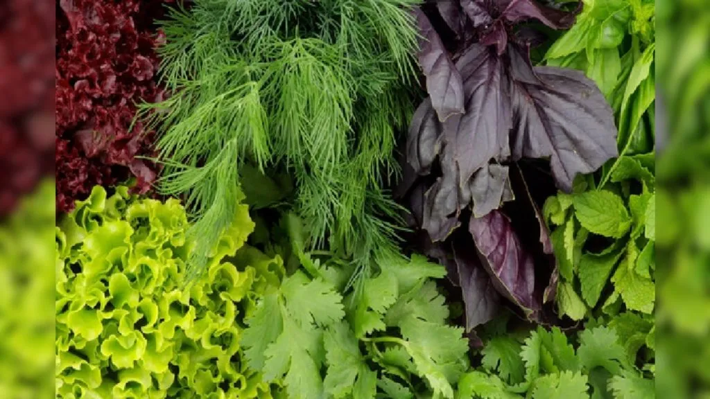 पावसाळ्यात घ्या ‘ह्याची’ काळजी