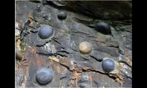 दर 30 वर्षांनी खडक देतो अंडी