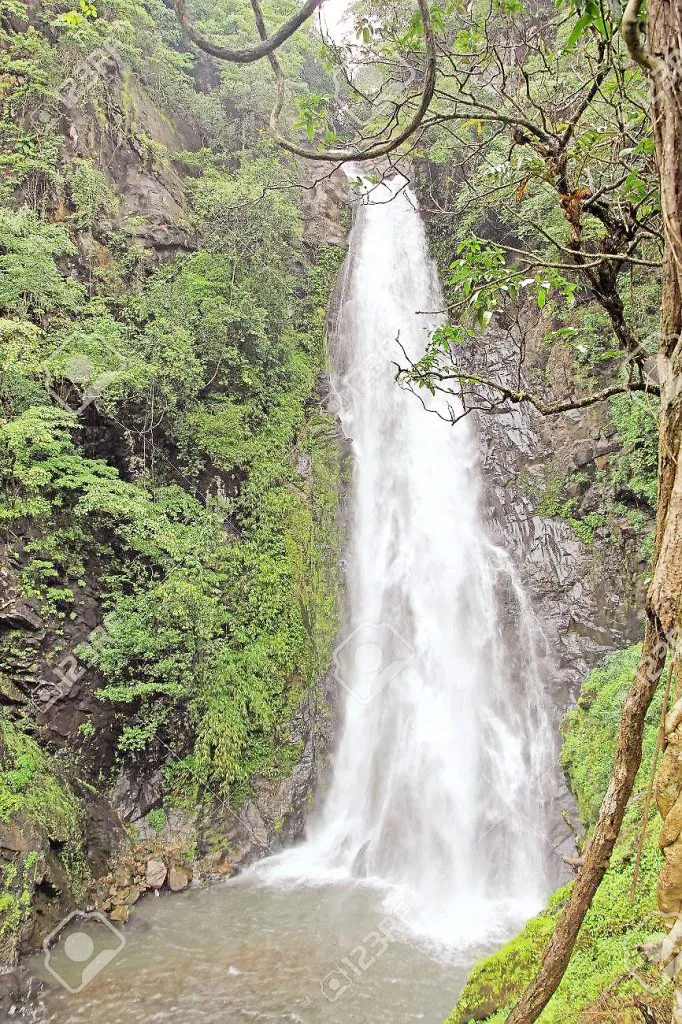 नेत्रावळी परिसरात वर्षा पर्यटनाला बहर