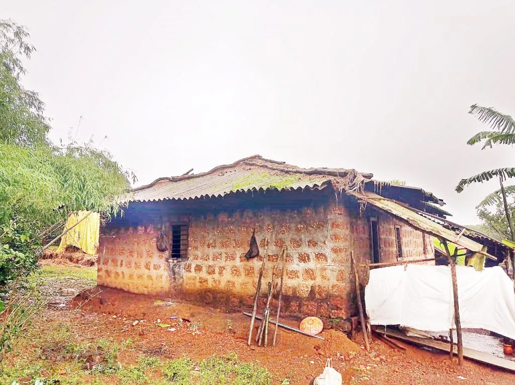 सत्तरी सुरलात वाघाचा वावर; दोन वासरांचा फ्डशा