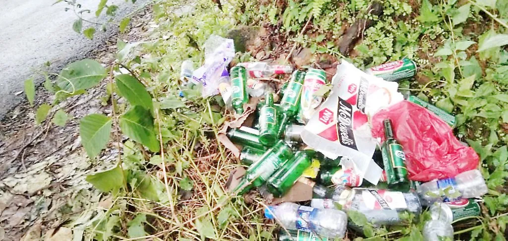 सत्तरीतील धबधब्यांवर पर्यटकांची हुल्लडबाजी