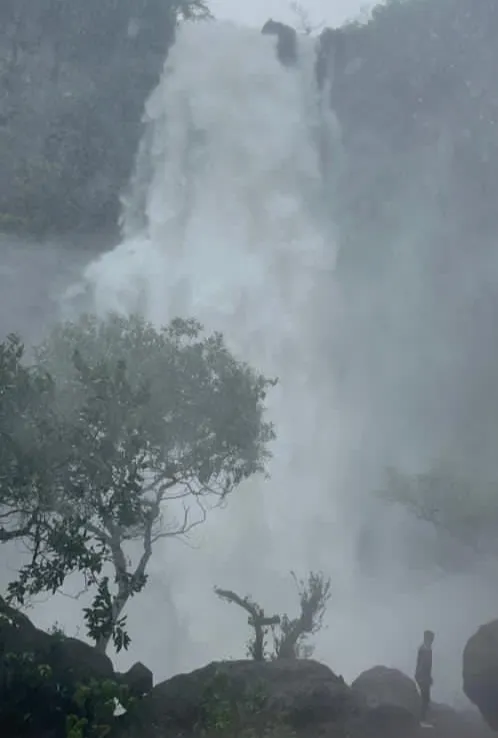 केळवली धबधब्यात युवक बुडाला