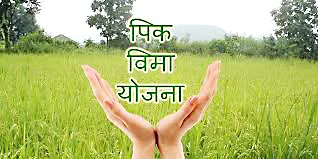 Farmers deprived of crop insurance due to issue in ‘Fruit’ software