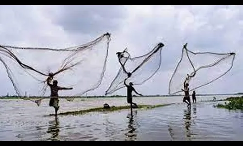 समुद्री उत्पादनांची निर्यात 30 टक्क्यांनी वाढली