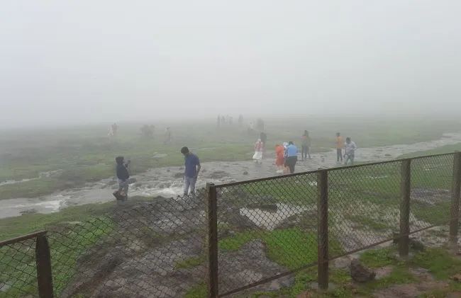 मुसळधार पावसात पर्यटक ओले चिंब; कास पठारावर पर्यटकांची गर्दी