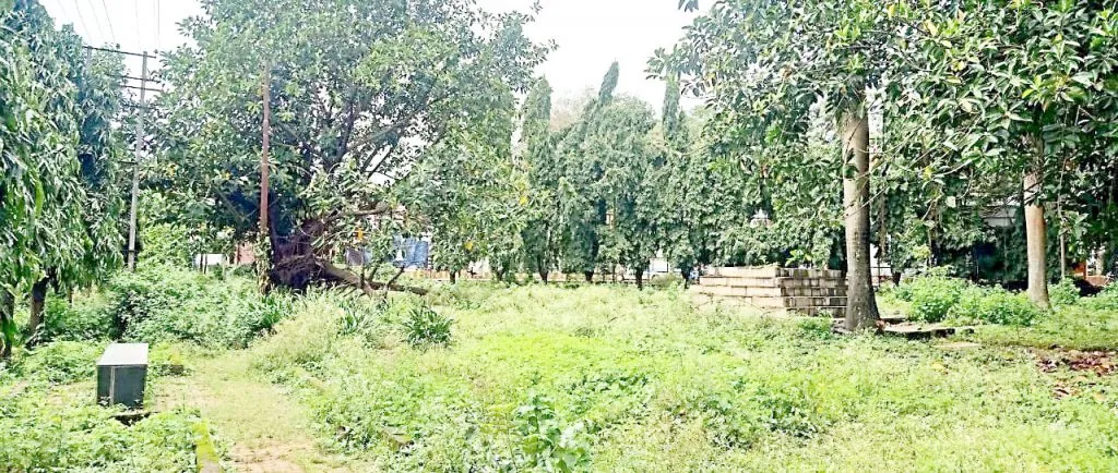गोगटे चौकातील उद्यानाचा विकास रखडला