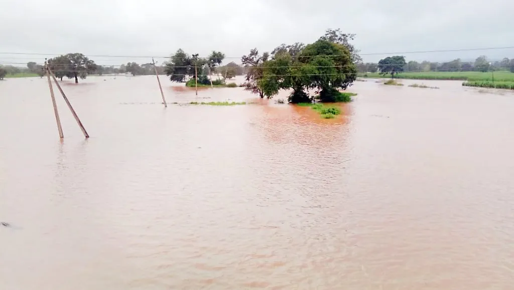 पावसाने उडविली पुन्हा दाणादाण