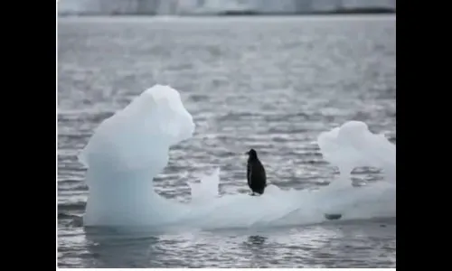 अंटार्कर्टिका विरघळतेय…