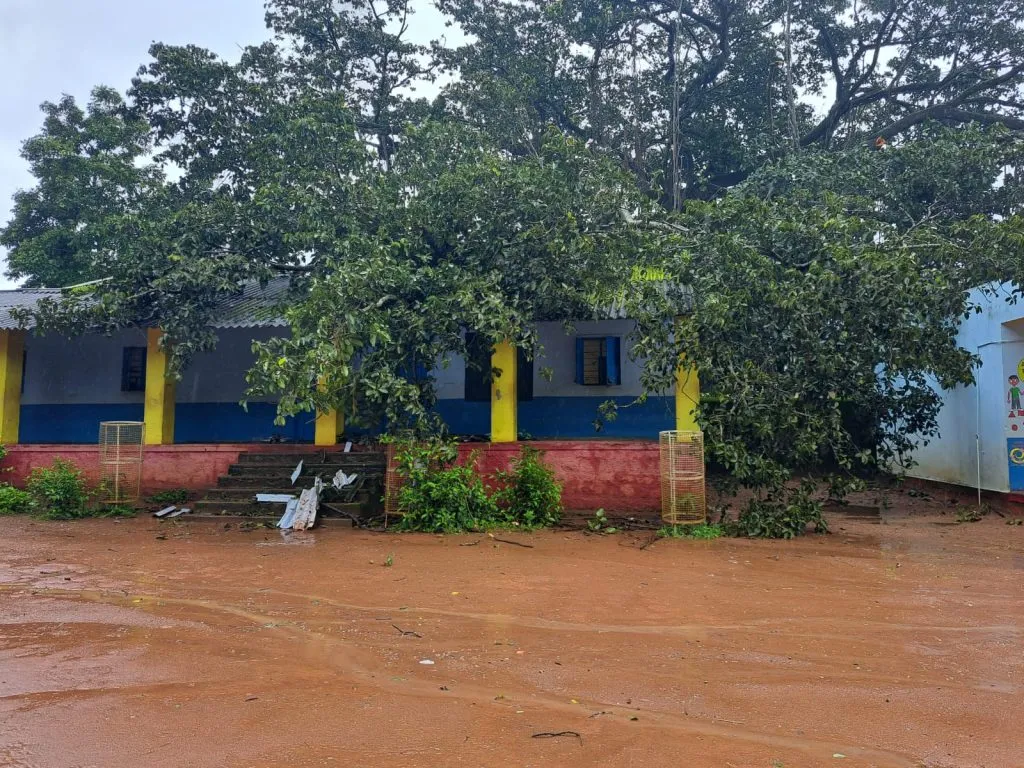 डहाळी पडल्याने ३ वर्गखोल्या जमीनदोस्त