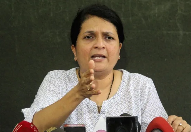 मंत्रीमंडळ विस्तारावर अंजली दमानियांची टीका; म्हणाल्या, …एका माळेचे मणी