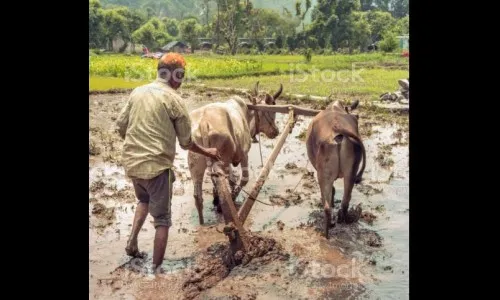 नांगरणी स्पर्धेच्या आयोजकांवर गुन्हा दाखल