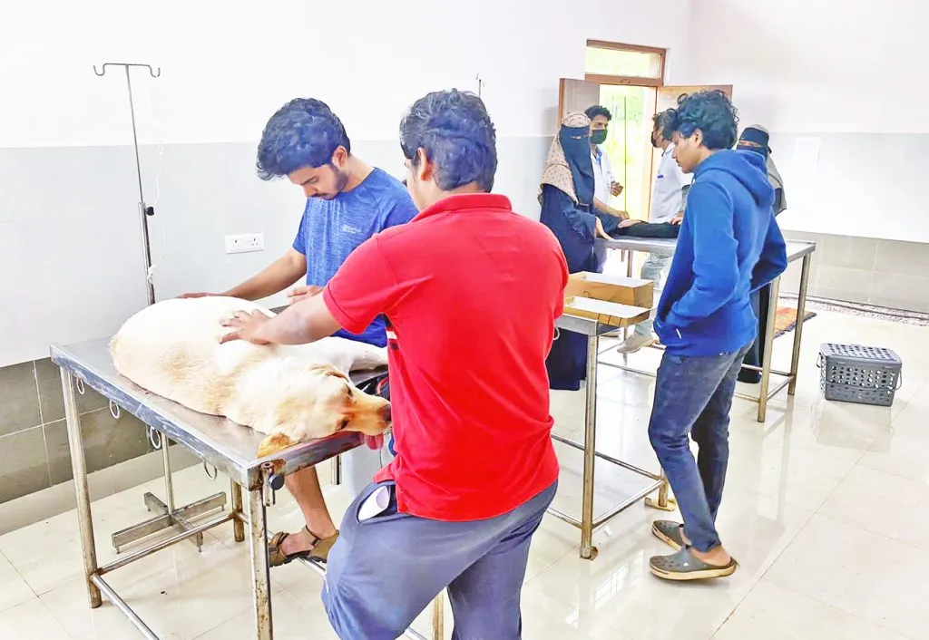 ‘मल्टिस्पेशालिटी’त जनावरांसाठी अत्याधुनिक सुविधा