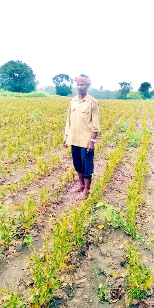 पावसाचा जोर वाढल्याने बळीराजाला धास्ती