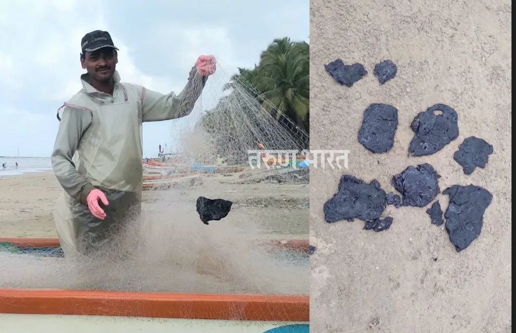 मच्छीमारांच्या जाळ्यात आले काळे प्लास्टिकसदृश तवंग