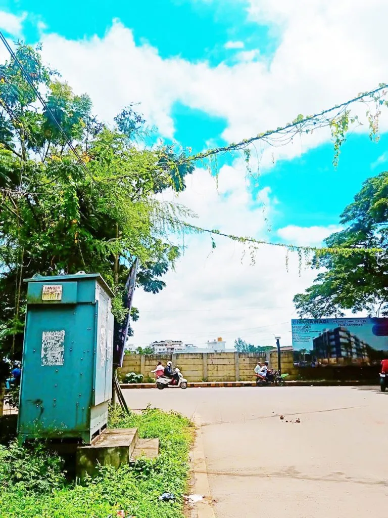 विद्युत वाहिन्यांवरील वेली धोकादायक