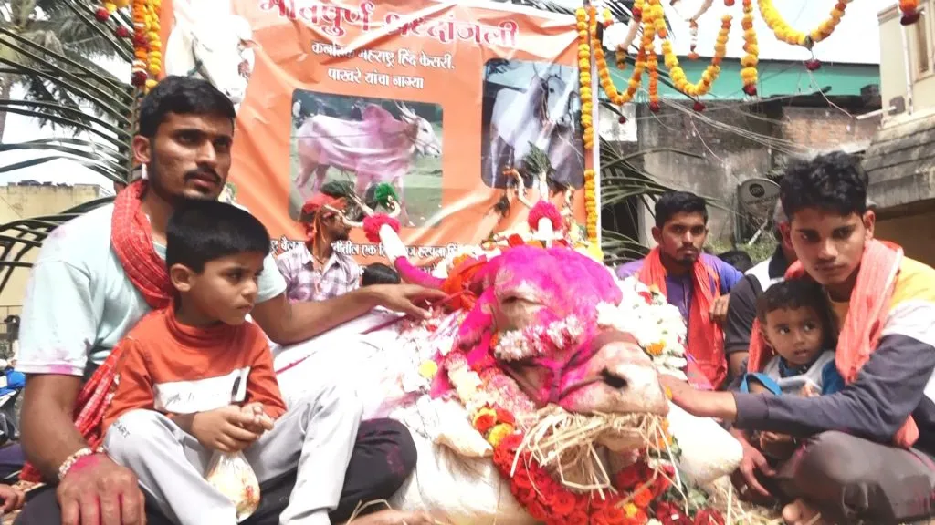 कर्नाटक-महाराष्ट्र ‘हिंदकेसरी’ ‘नाग्या’चा मृत्यू