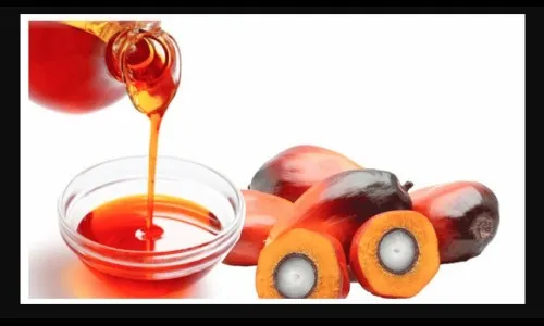 पाम तेलाची आयात उच्चांकावर