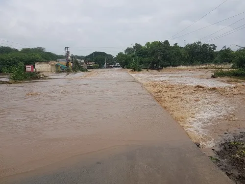Solapur; माढा तालुक्यात अतिवृष्टी