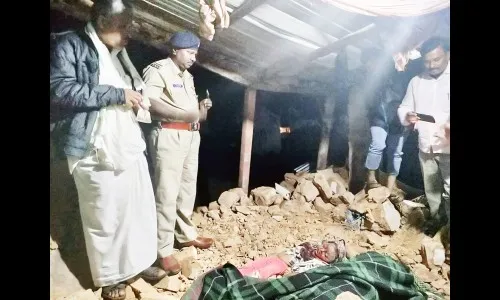 पावसामुळे भिंत कोसळून मायलेकराचा बळी