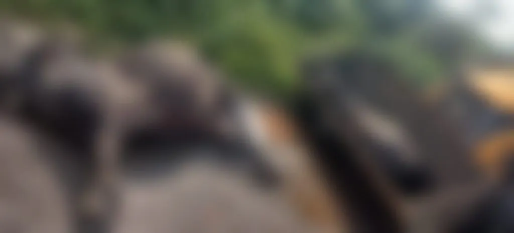 दोन म्हशींचा जागीच मृत्यू