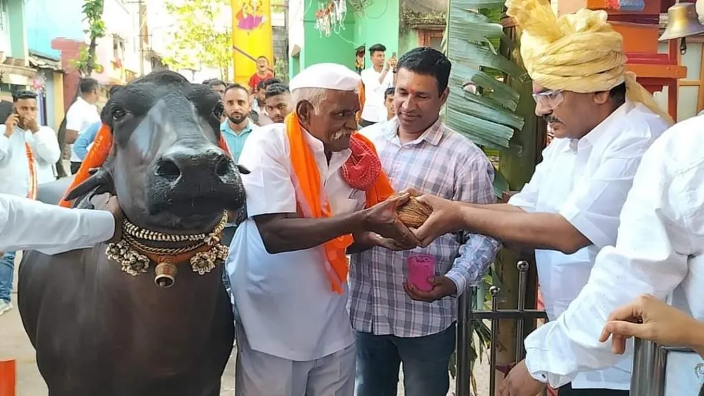 पाडव्यानिमित्त बेळगावात जोपासली जाते अनोखी परंपरा