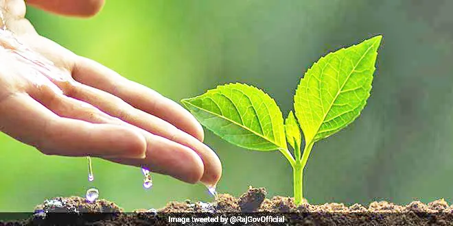 Aim to plant 1 lakh 25 thousand trees in the taluk