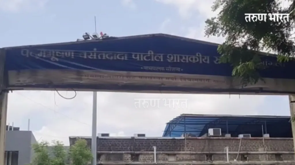 रक्ताचा रिपोर्ट हाताने…एक्स-रे मोबाईलवर! शासकीय रुग्णालयातील अजब कारभार