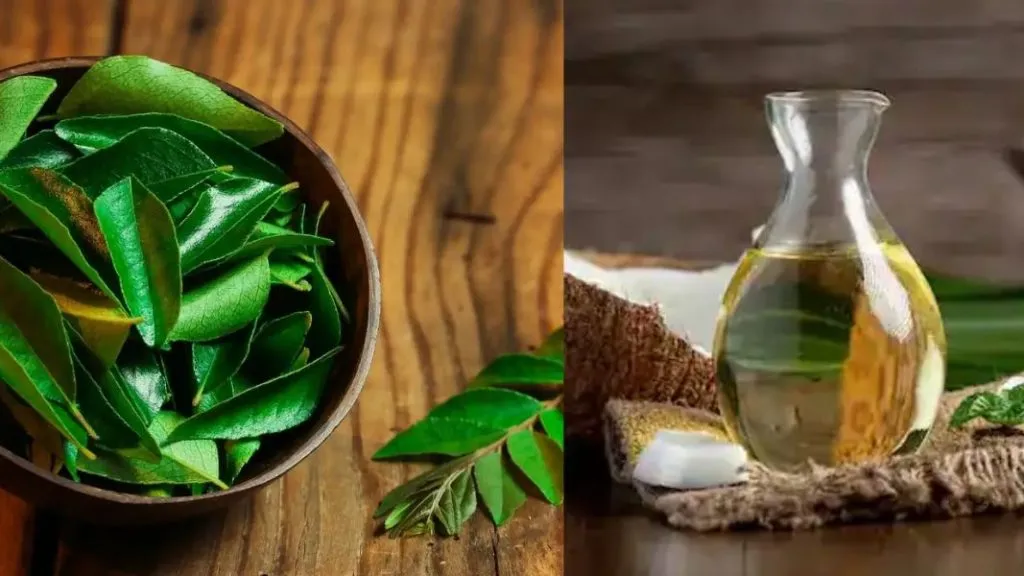 ‘या’ दोन प्रकारे केसांना लावा कढीपत्ता , केस होतील मजबूत आणि चमकदार