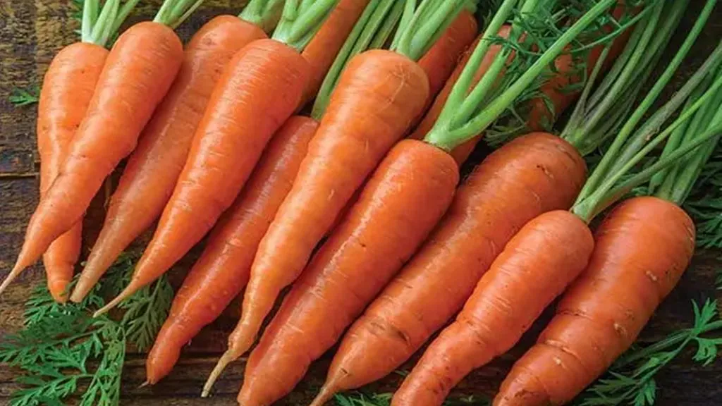 हिवाळ्यात गाजर खाण्याचे हे आहेत आश्चर्यकारक फायदे