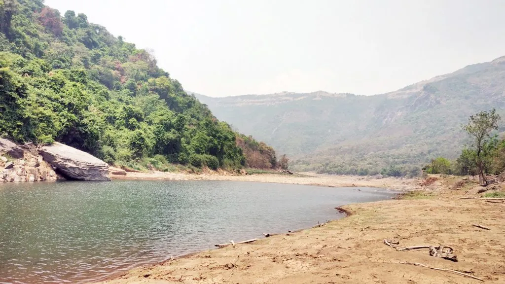 ‘पर्यावरण शाश्वत’मधील पदव्युत्तर शिक्षण-व्यापक संधी