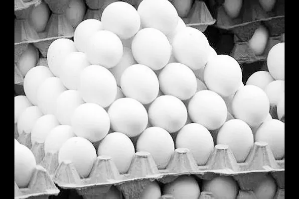 Child-pregnant egg donation stopped!