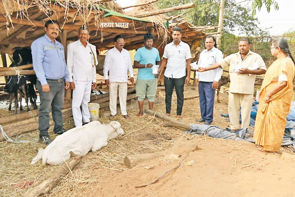 लम्पीग्रस्त जनावरांसाठी औषधांचे वाटप