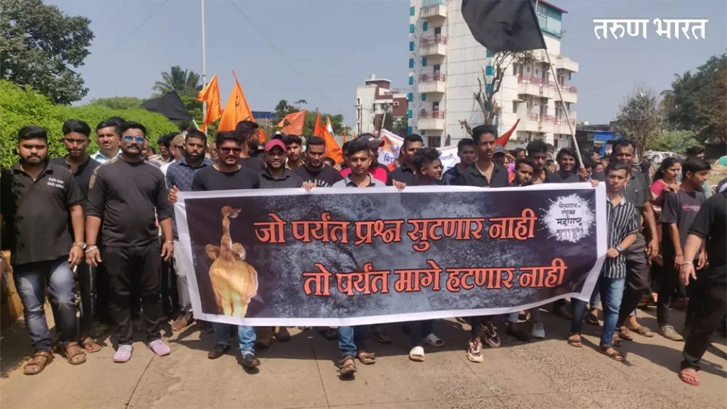 केवळ ठराव करुन सीमा प्रश्न सुटणार नाही