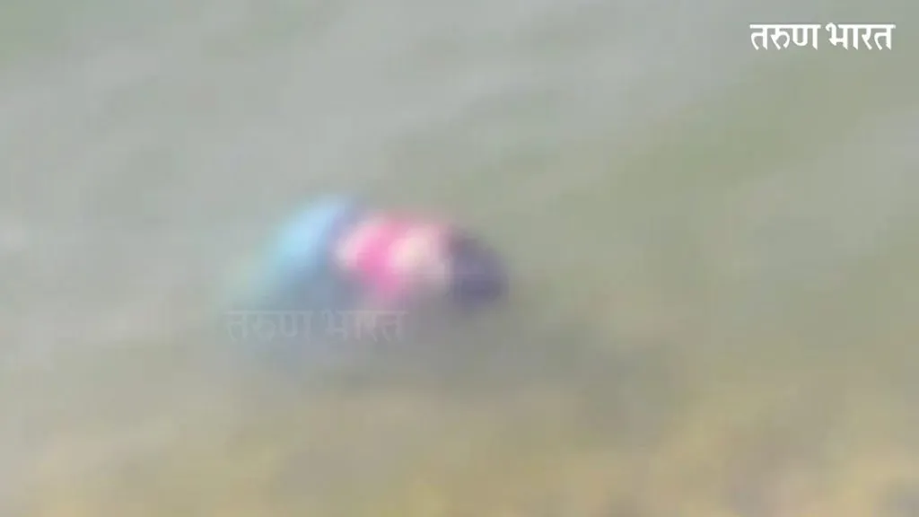 विवाहितेने आपल्या दोन मुलां सोबत घेतली नविलुतीर्थ धरणात उडी