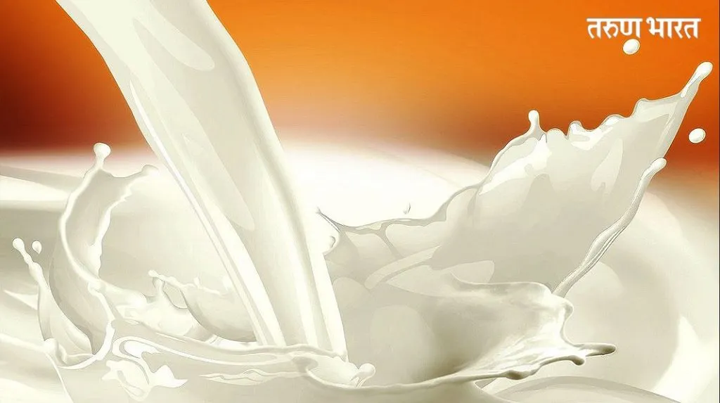 आज दुध दरासंबंधी महत्वाची बैठक