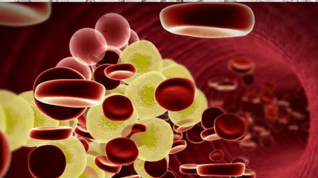 वाढत्या कोलेस्ट्रॉलवर नियंत्रण ठेवण्यासाठी ‘या’ फळांचा करा आहारात समावेश