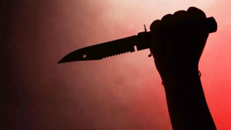 Husband attacked his wife-mother-in-law with a knife as she did not come to Nanda