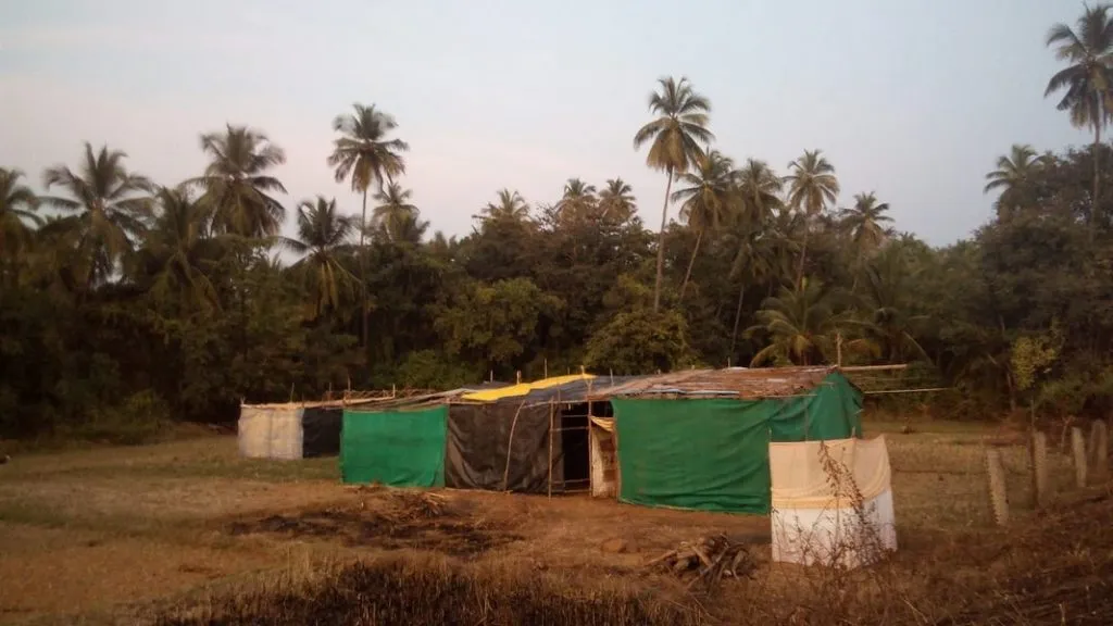 चिंदर गावची गावपळण १८ पासून; ग्रामदेवतेने दिला कौल