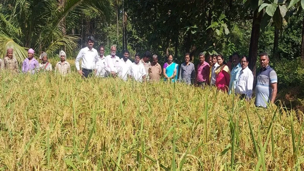 वनश्री फाउंडेशन सिंधुदुर्ग व विवेकानंद पर्यावरण संस्थेच्या संकल्पनेतून पक्षी सप्ताह होणार