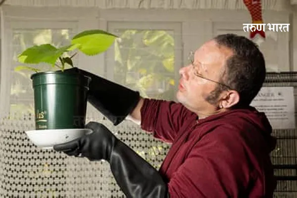 सर्वात धोकादायक रोप