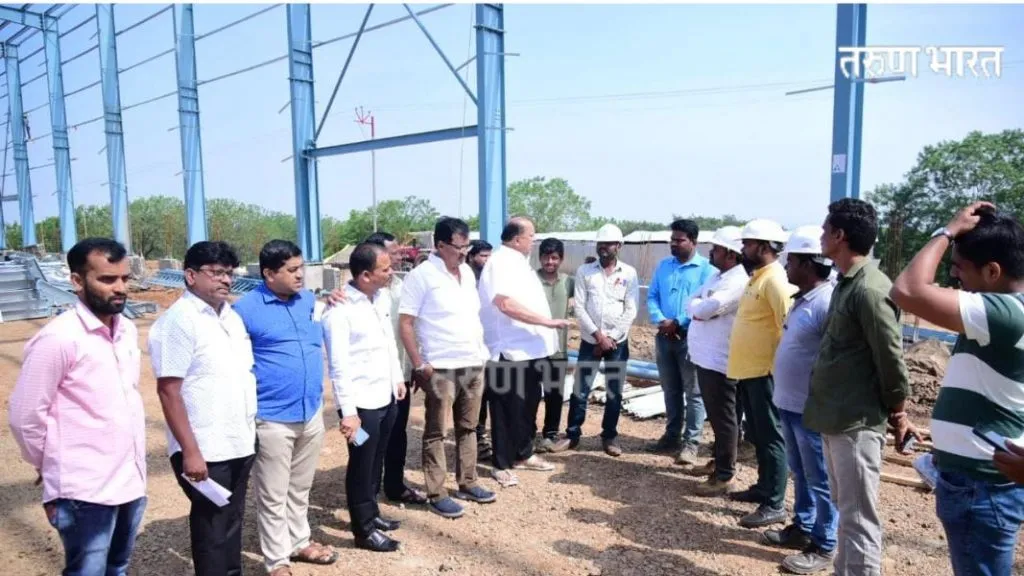 हजारो झाडांची कत्तल, फॉरेस्टवाले झोपलेत काय? हसन मुश्रीफ