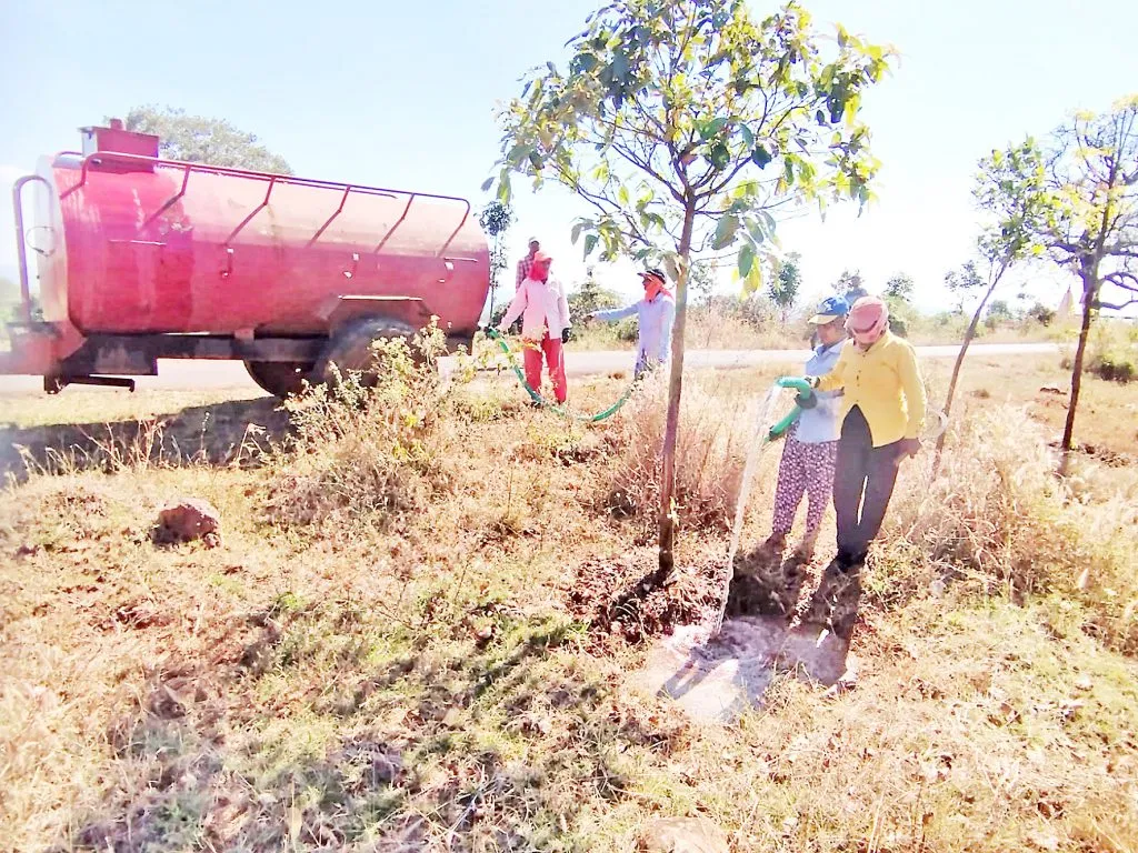 सामाजिक वनीकरणातर्फे रोपांना पाणीपुरवठा