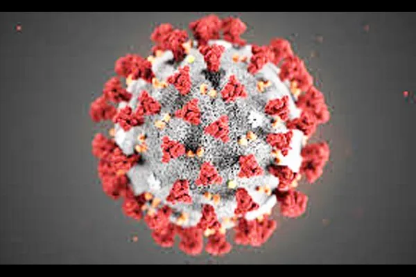 कोरोनाचा एका वर्षानंतर बळी