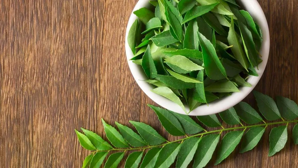 बहुगुणी कढीपत्त्याचे आरोग्यदायी फायदे