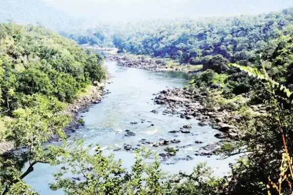 म्हादईसाठी आपसात भांडण्याऐवजी एकदिलाने लढा…