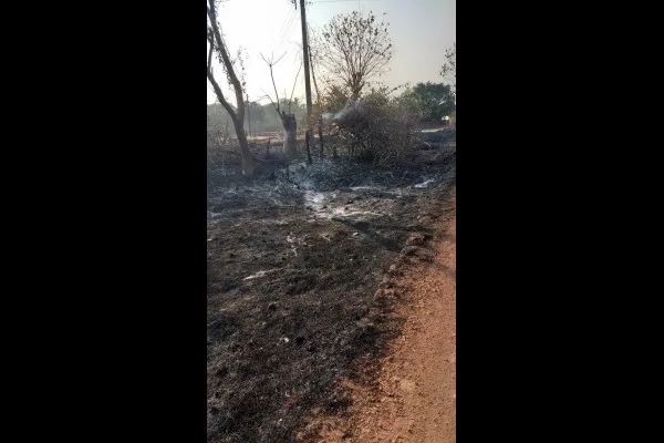 राजापुरातील वणव्यात 35 लाखांचे नुकसान