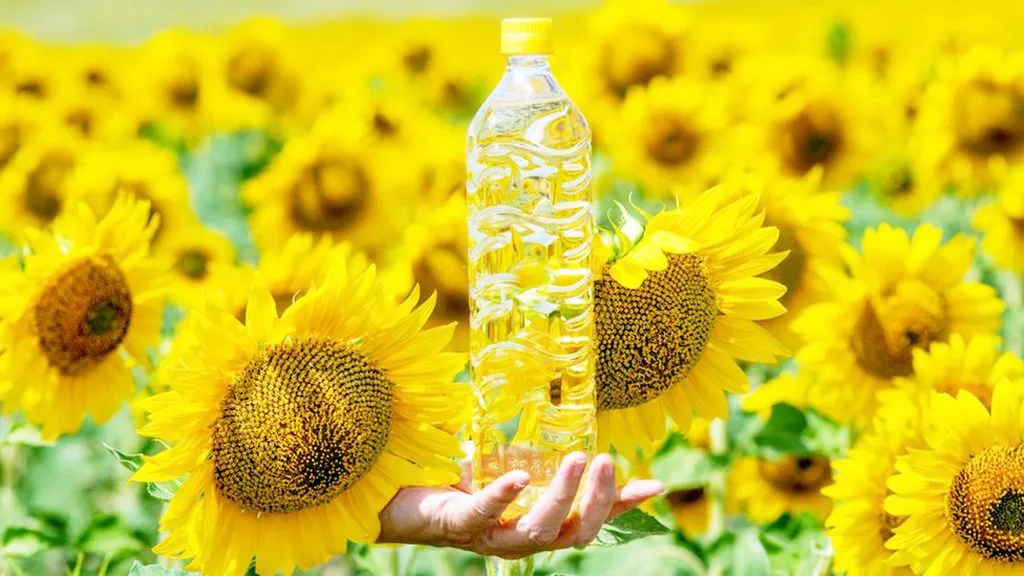 सूर्यफूल तेलदरात घसरण