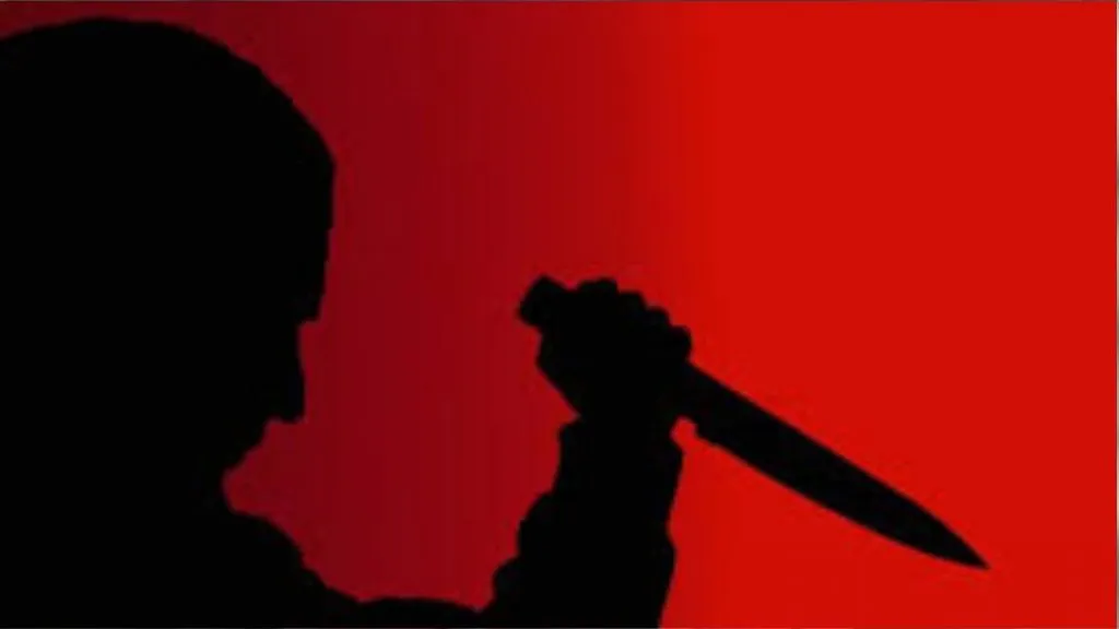 जमिनीसाठी पुतण्याने चुलत्यावर केला चाकूने वार